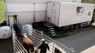 Abattoir mobile en suède. © Malin Hoelstad Abattoir mobile en suède. © Malin Hoelstad